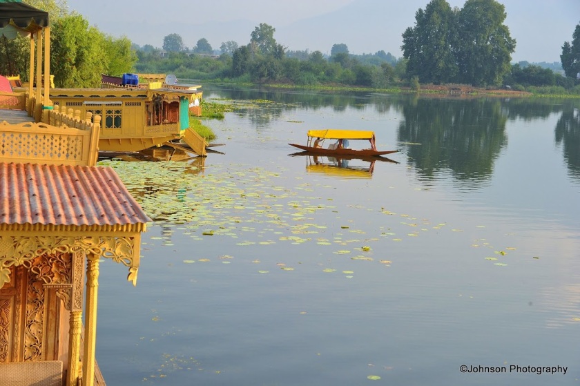 Dal Lake - houseboat and the shikhara boat 